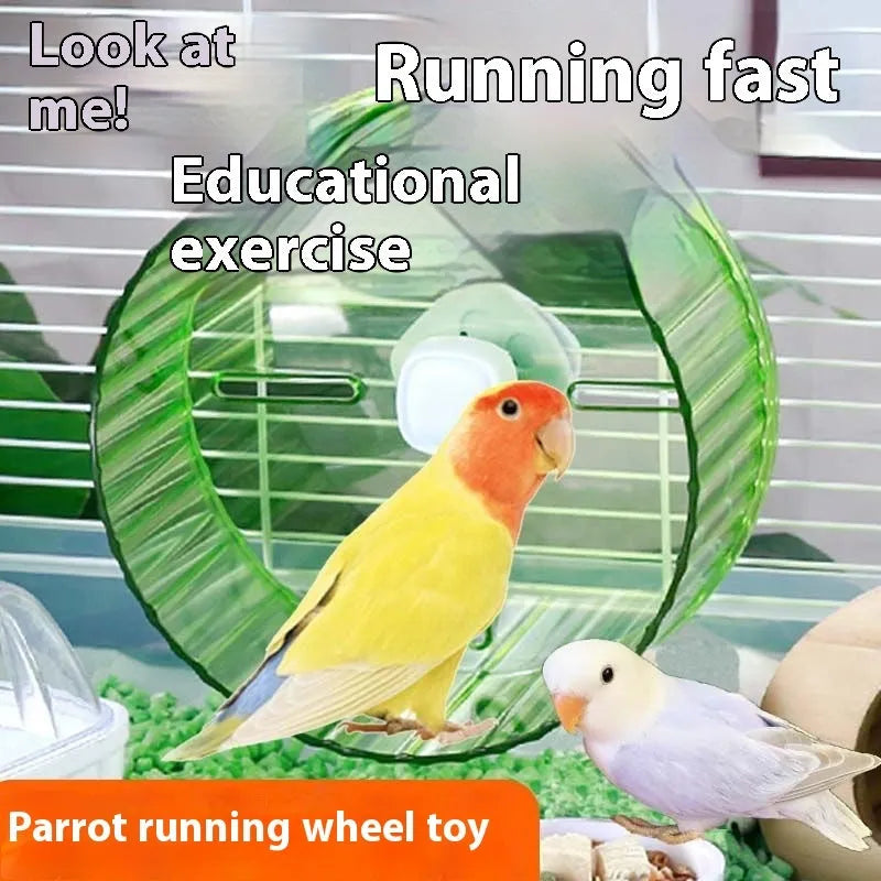 Plastic parrot wheel running toy in green colour, showing the rotating treadmill design for bird exercise.