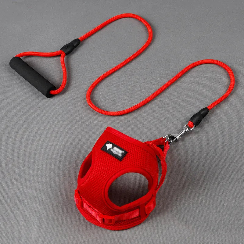 Blue dog leash and collar set with foam handle for small dogs