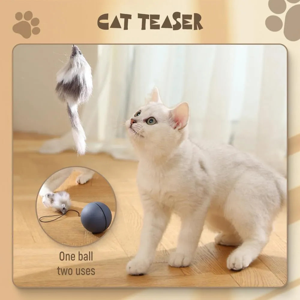 Interactive self-rolling cat ball toy in Blue Orange and Gray colours on a white background
