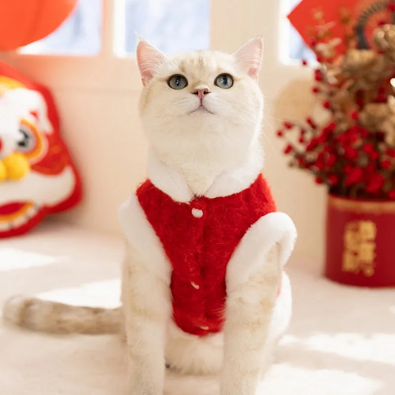 Red pet lion dance sweater with 3D face, colourful pom-poms, and leash ring on small dog