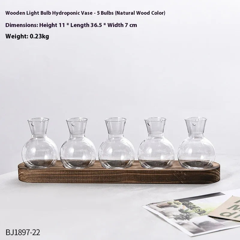 Transparent hydroponic vase in a wooden frame for modern plant display.