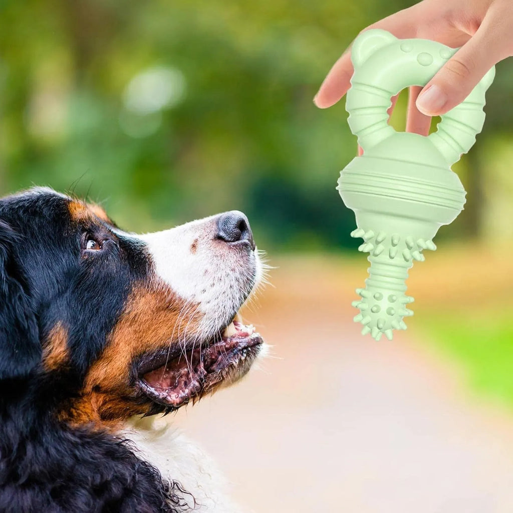 Blue rubber molar clean dog chew toy with textured surface for large breed pets