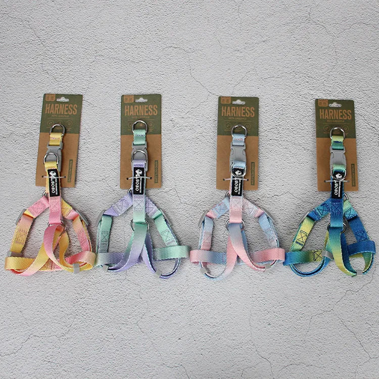 Nylon dog leash set with collar and harness in a pink and blue gradient colour.