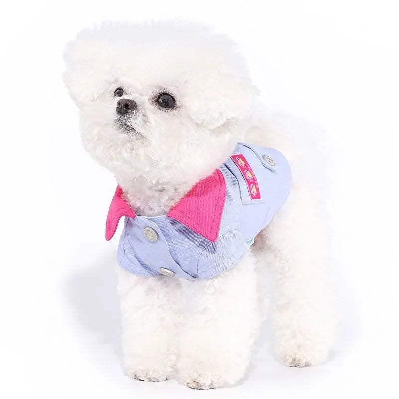 Blue and purple polyester dog vest with leash ring for small dogs