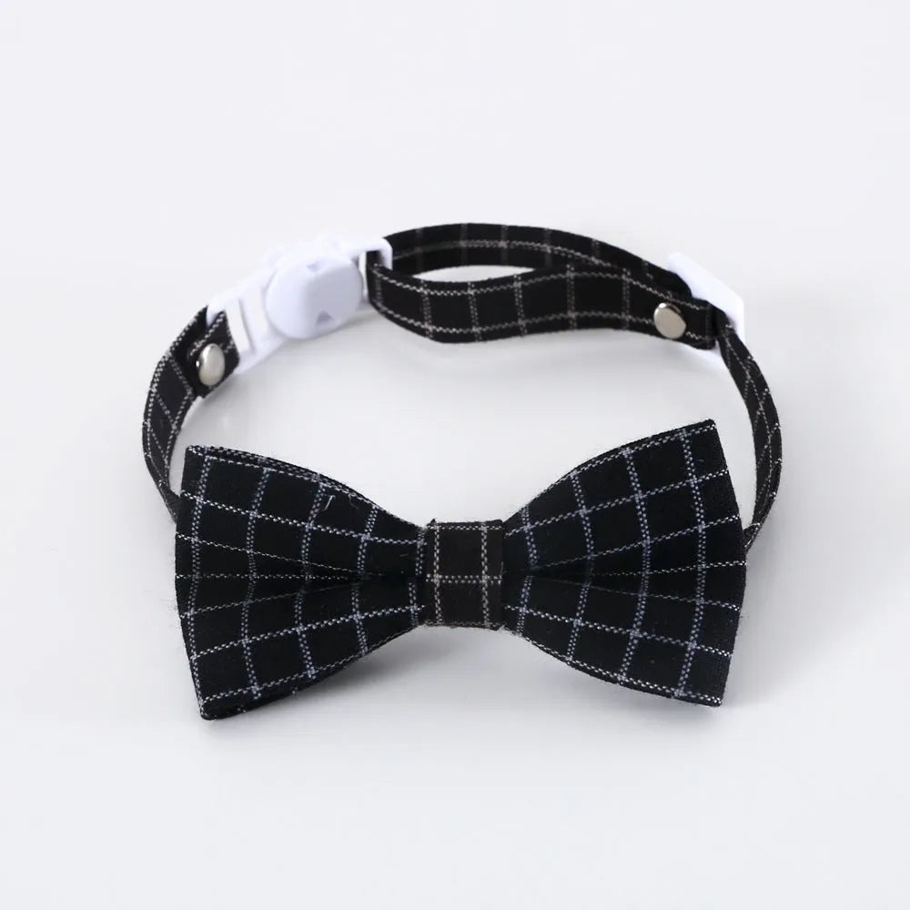 Small pet wearing a woolen felt doctor's degree hair band with a red cap bow tie attached
