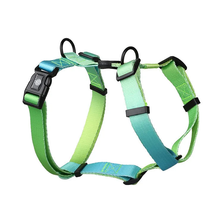 Gradient colour dog harness chest straps in purple, blue, neon, and green designs with adjustable sizing.