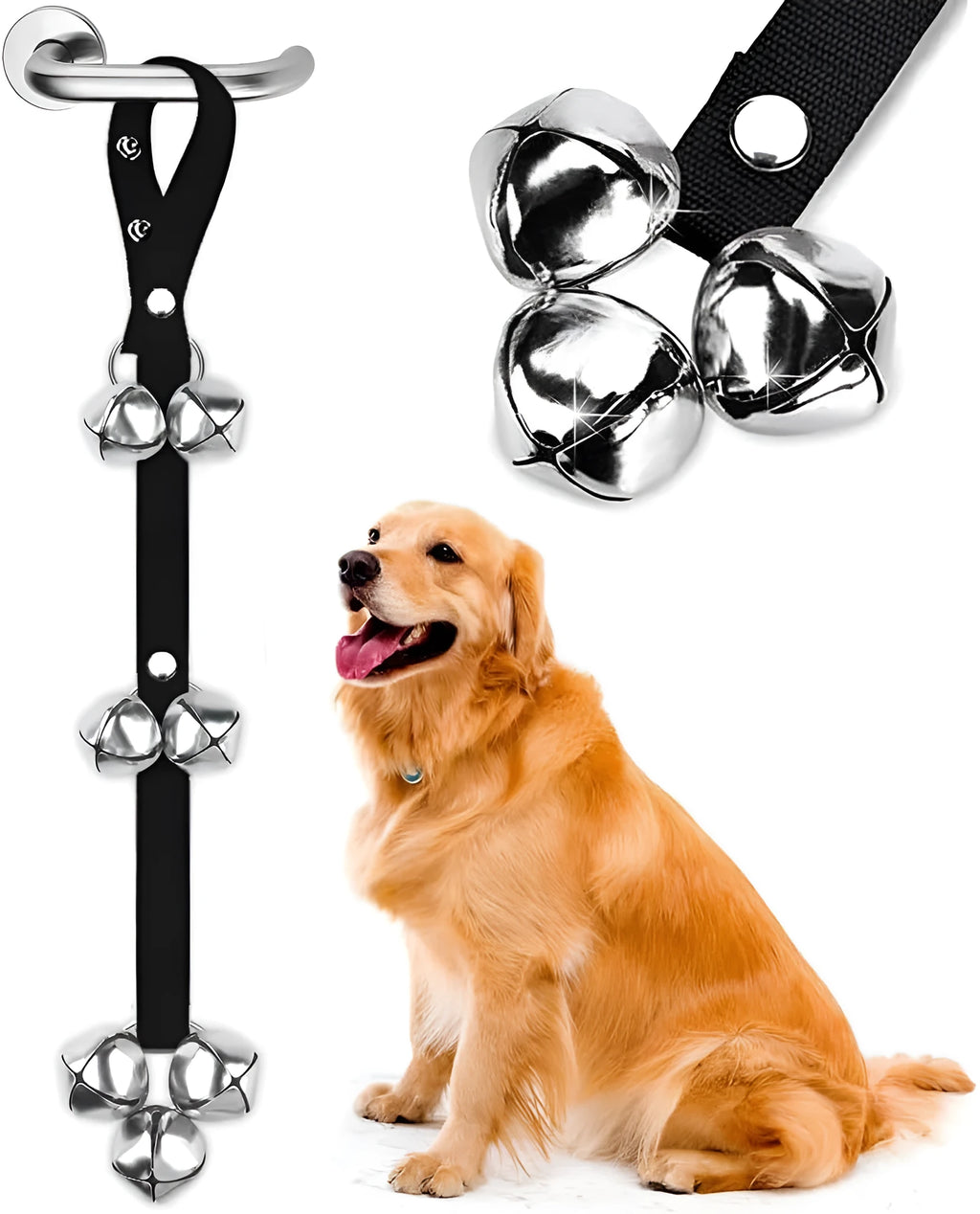 Adjustable dog training doorbell with shiny silver metal bells on a black nylon strap