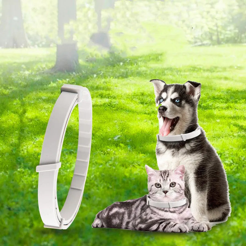 Adjustable pet anti-mosquito collar for cats and dogs, made with TPR silica gel and natural plant extracts, waterproof design