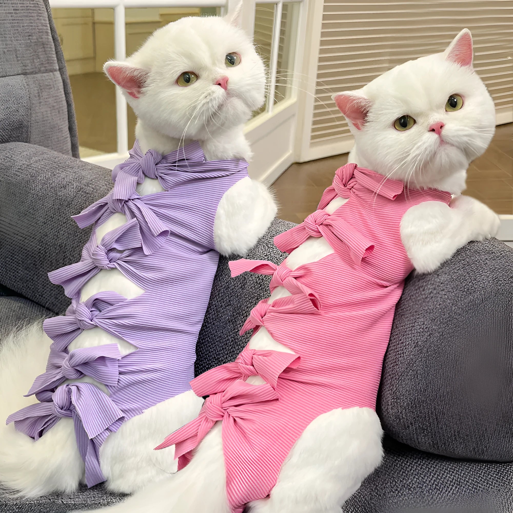 Lace-up cat sterilisation recovery suit in polyester shown in multiple colours with adjustable closure