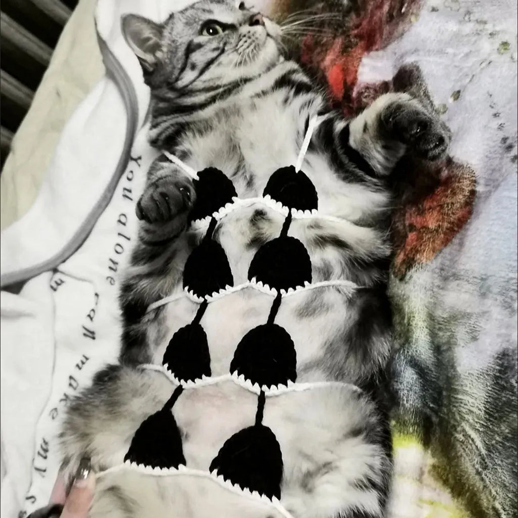 Cat wearing bikini costume in multiple colour options for festive dress-up