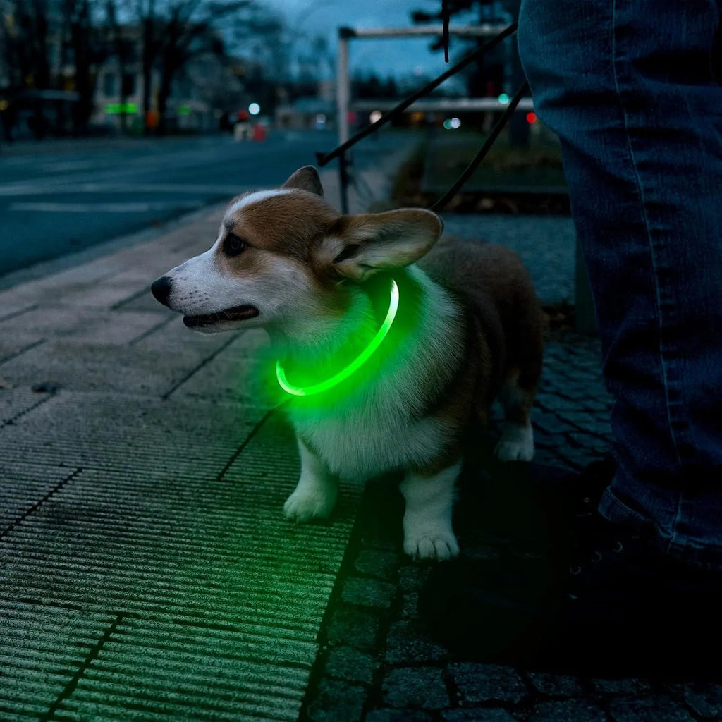 Blue LED dog collar glowing with adjustable TPU band and USB charging port visible