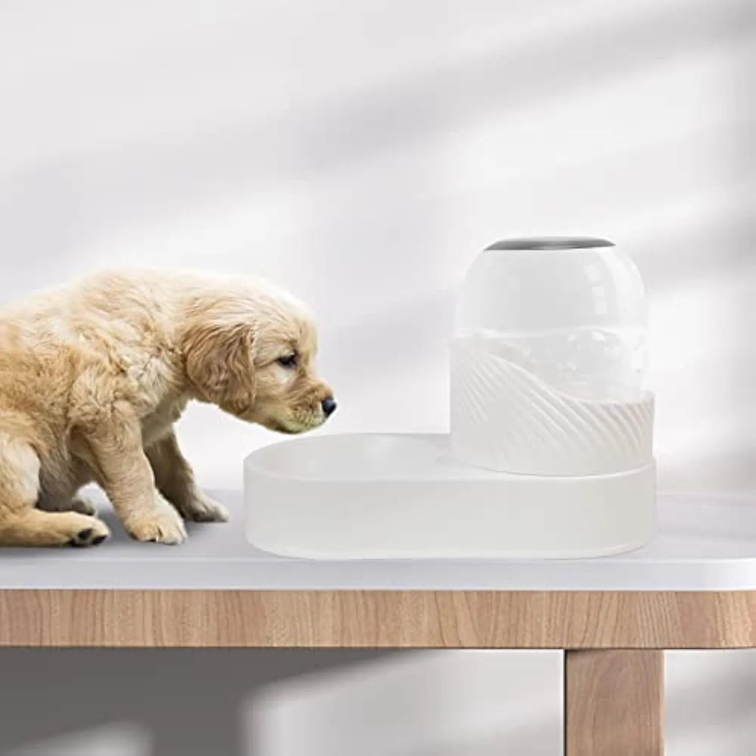White cat feeder and water dispenser set with wave-pattern design and 2L capacity bowls