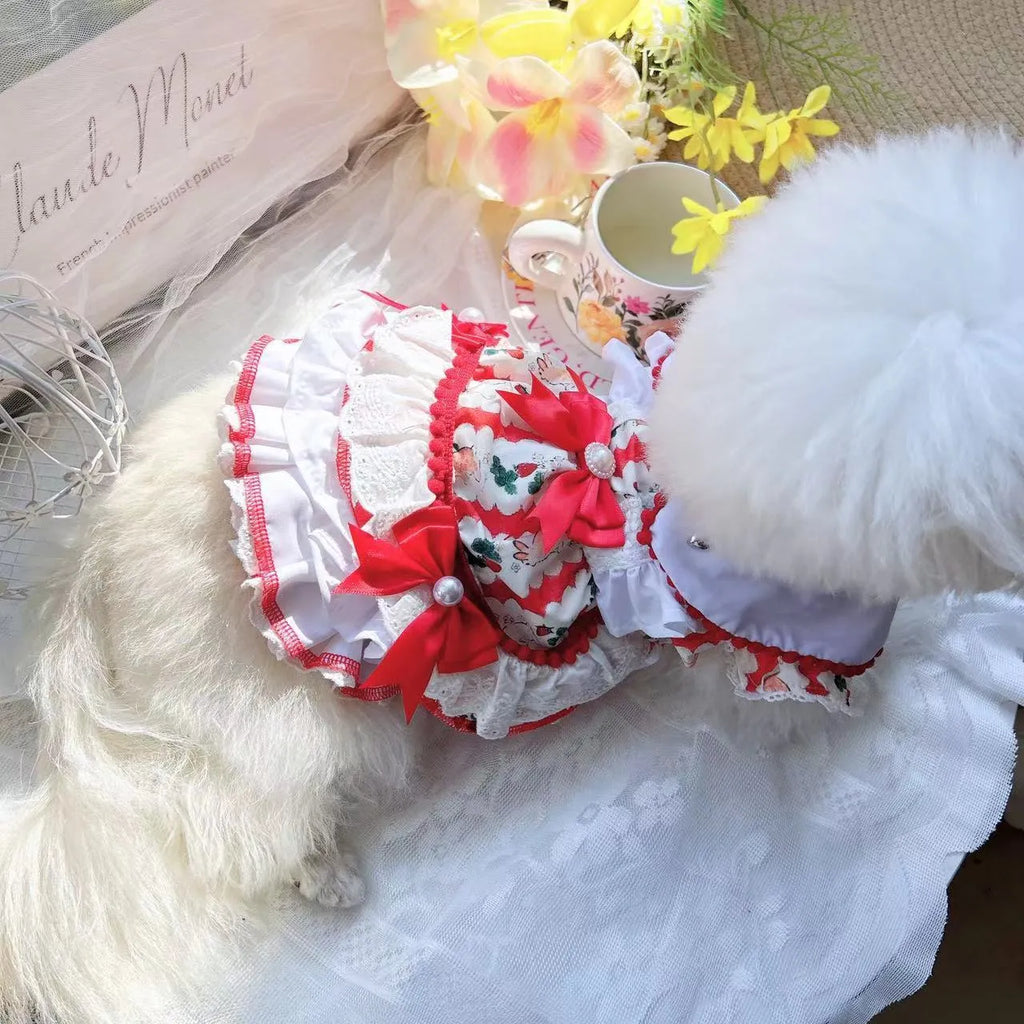 A small dog wearing a lightweight white and grey rabbit-themed princess skirt.