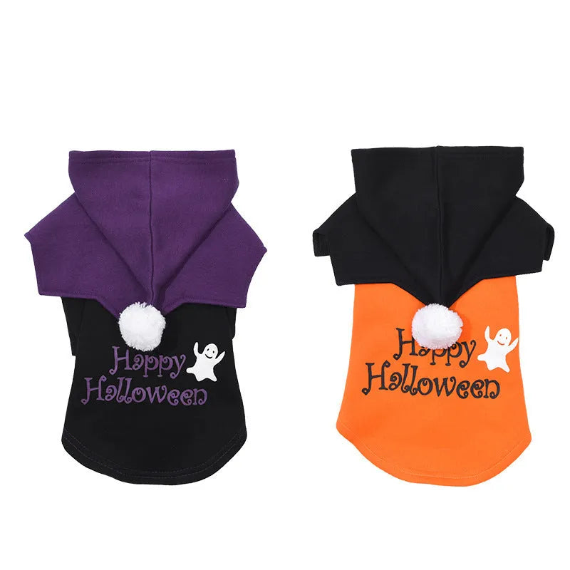 Black and orange Halloween pumpkin dog costume with sweater and shawl pieces