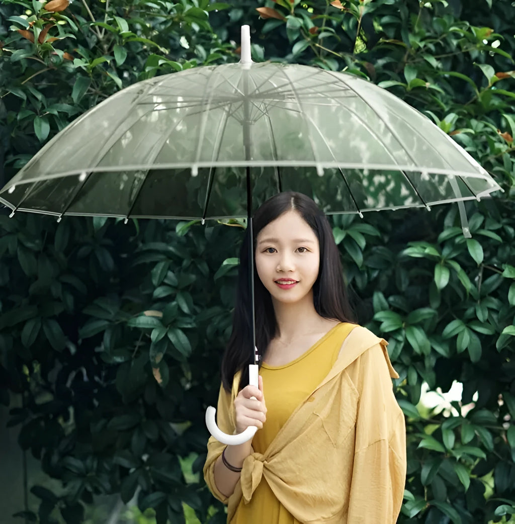 Big long handle transparent umbrella with 16 ribs, POE fabric canopy, ABS plastic handle, and black steel skeleton in black colour