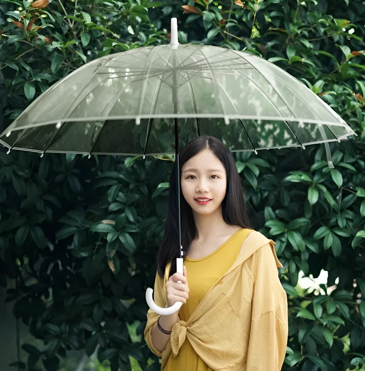Big long handle transparent umbrella with 16 ribs, POE fabric canopy, ABS plastic handle, and black steel skeleton in black colour
