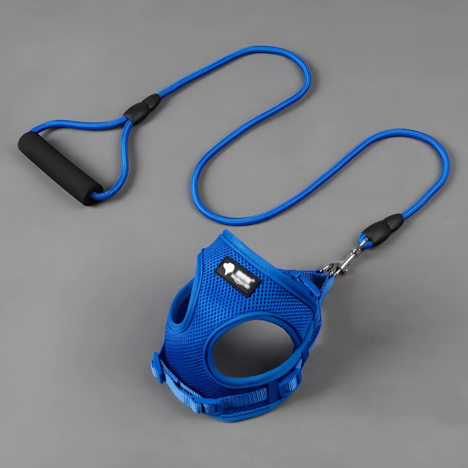 Blue dog leash and collar set with foam handle for small dogs