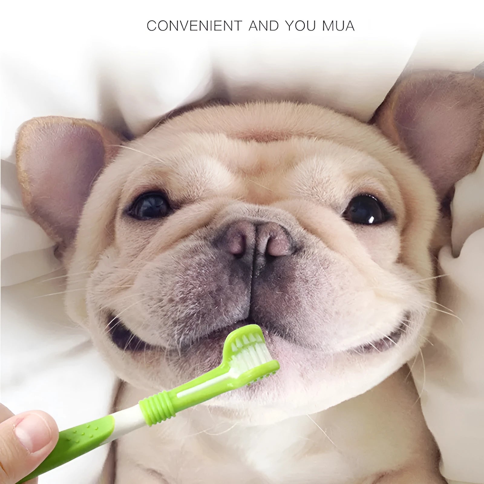 Green pet silicone finger toothbrush set with three-head dog toothbrush and PP handles on a light background