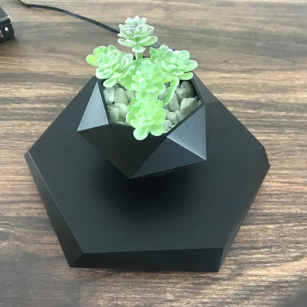 Floating magnetic levitating flower pot in wood grain finish with micro plant suspended 15mm above hexagonal base