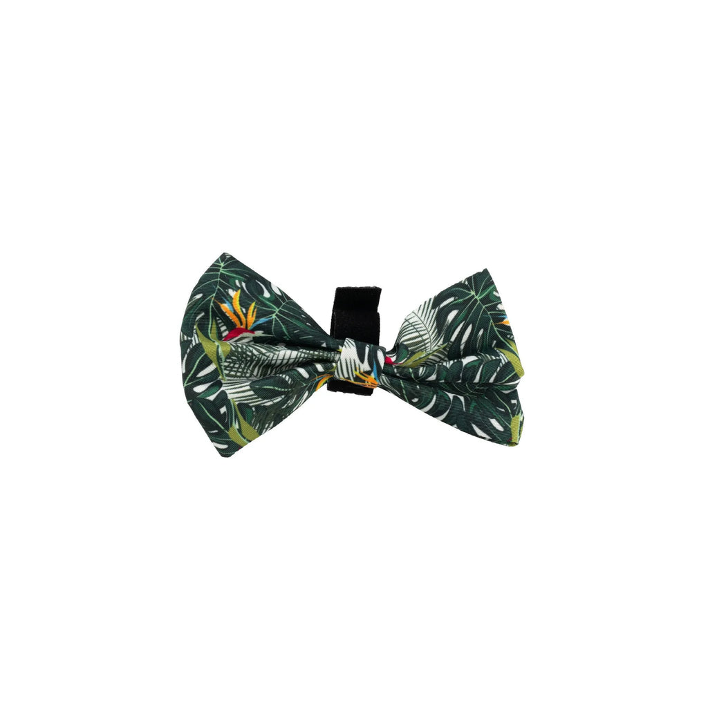 Six-piece adjustable cloth dog harness set with leash, collar, poop bag, bow tie, and bib on a white background.