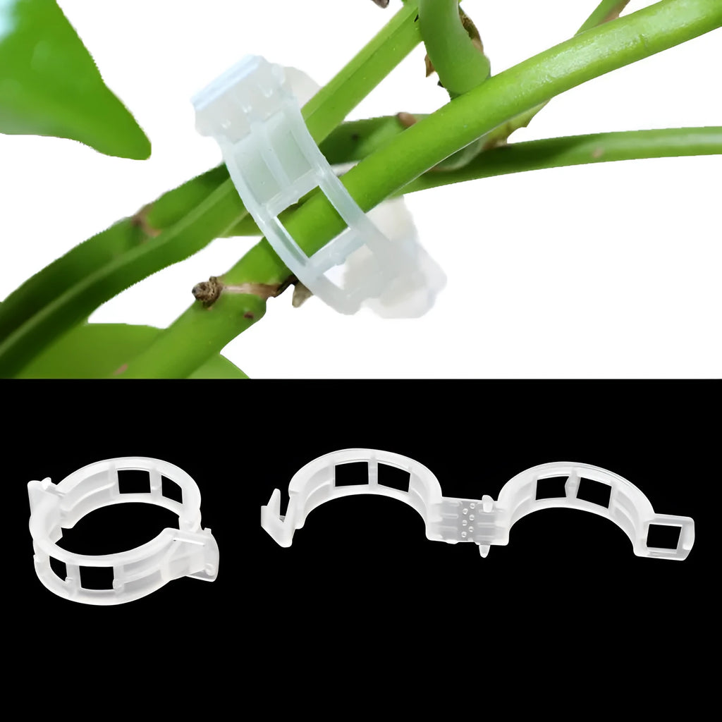 Assortment of 50 smooth plastic plant grafting clips for garden use on a white background.