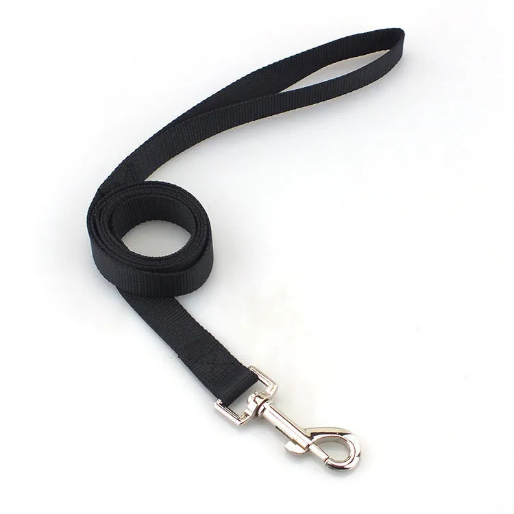 Solid colour polyester dog lead with hand-holding rope design shown in blue colour option