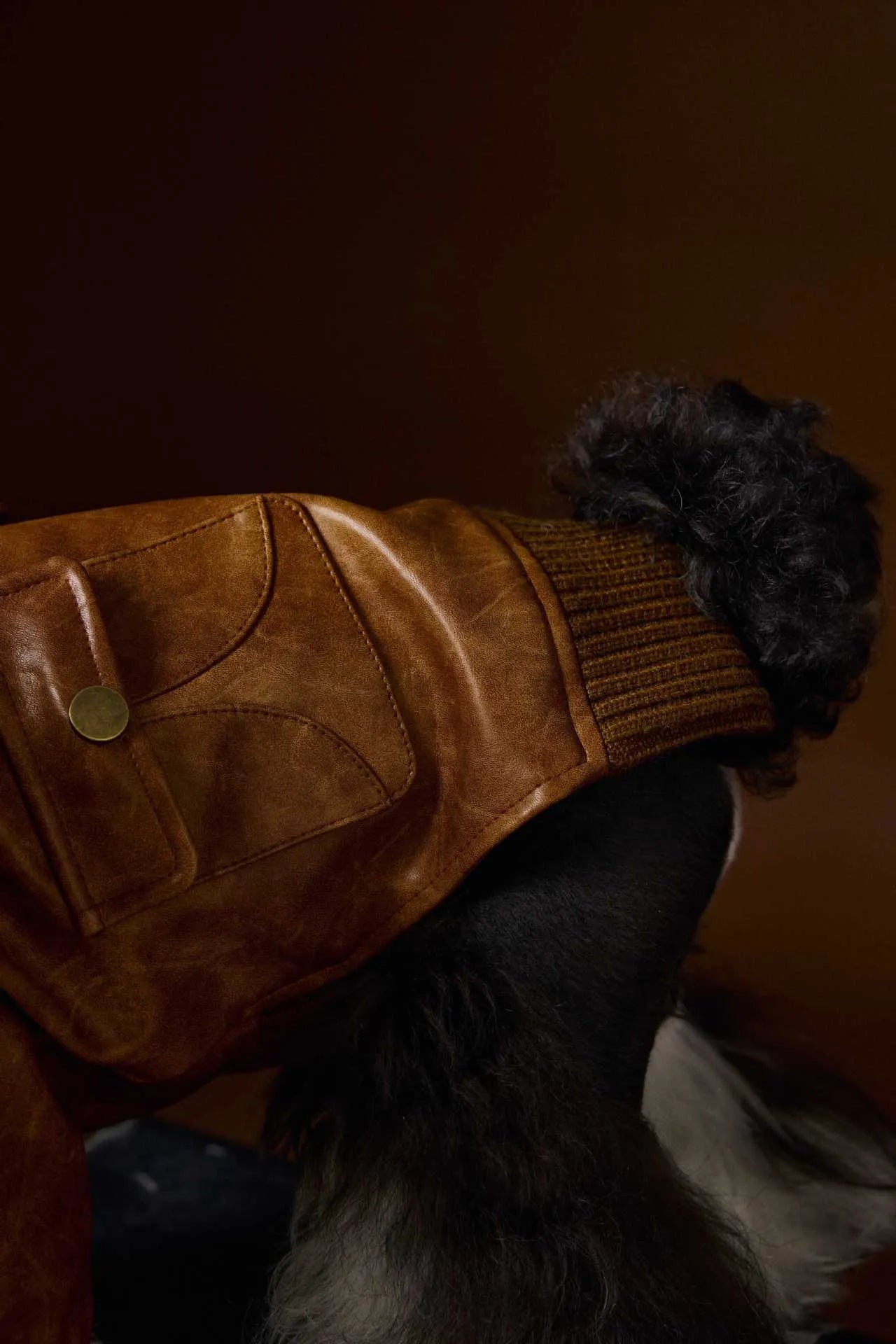 Brown retro long sleeve PU leather dog coat on Schnauzer or Bichon breed