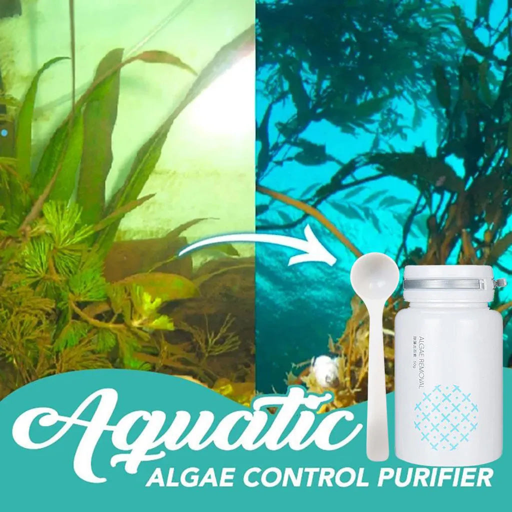 50g algaecide container for swimming pool algae removal and moss treatment
