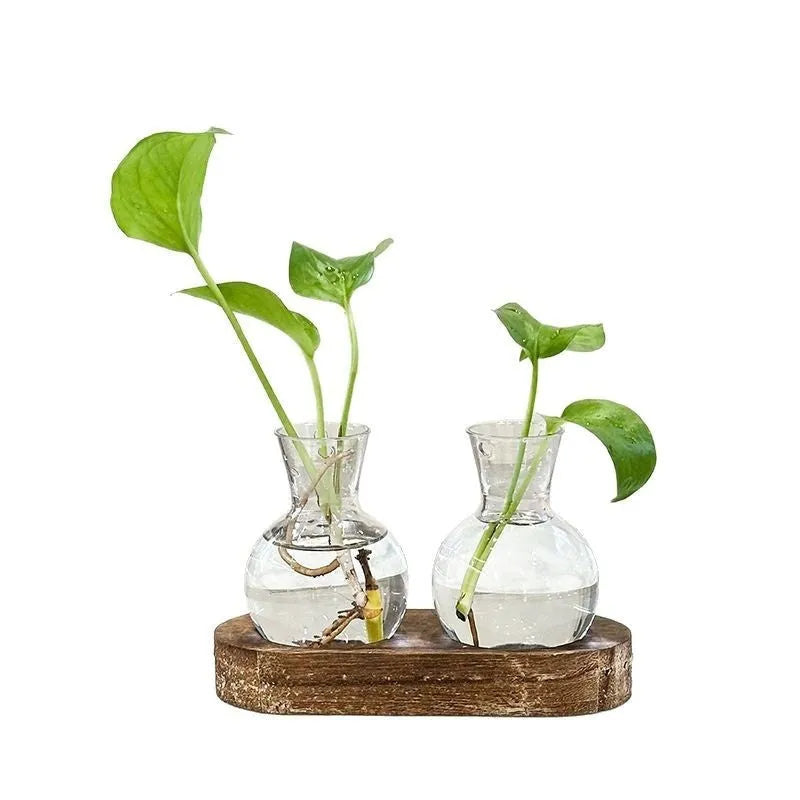Transparent hydroponic vase in a wooden frame for modern plant display.