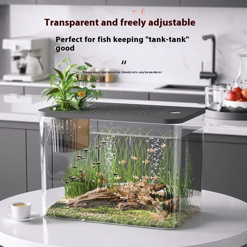 Medium black plastic betta fish tank with cover measuring 32cm length