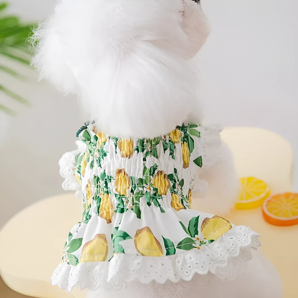 Rock yellow lemon polyester dog strap skirt showing Princess style design on mannequin