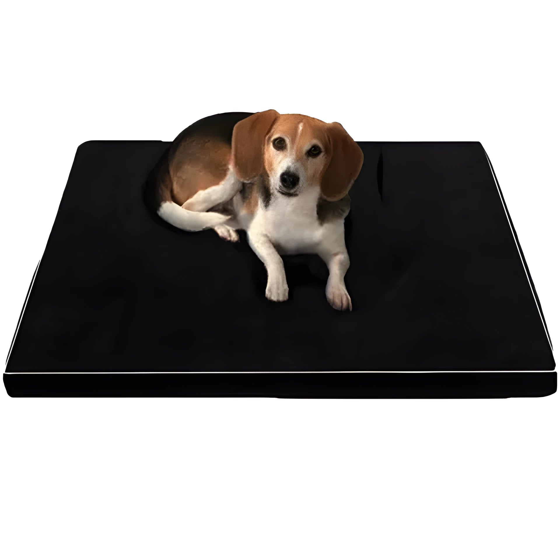 Arthur black memory foam dog bed for large elderly dogs with low profile and non-slip bottom