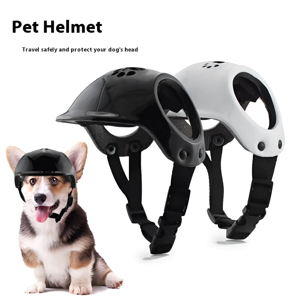 Plastic bicycle safety helmet for small to medium sized dogs in black colour