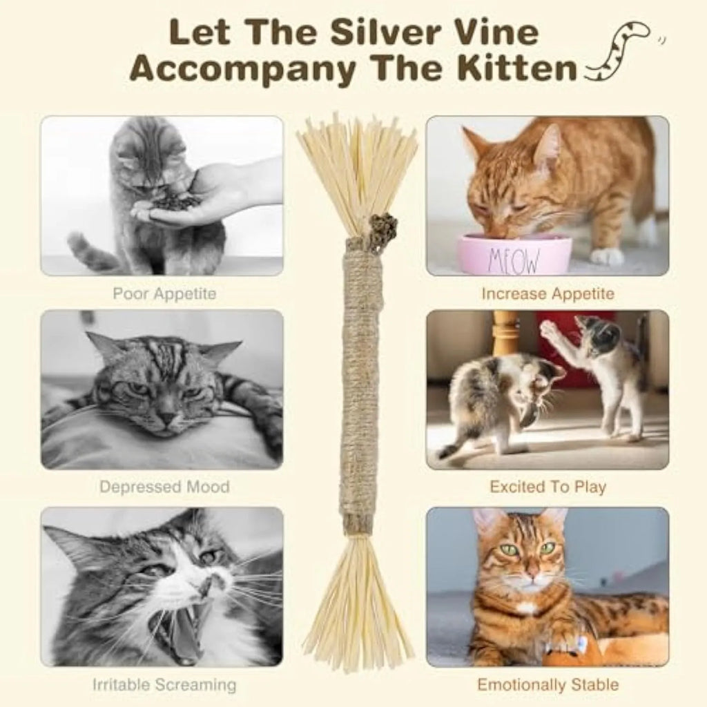 3 natural silvervine chew sticks for cats with sisal rope, thick and fine diameter options