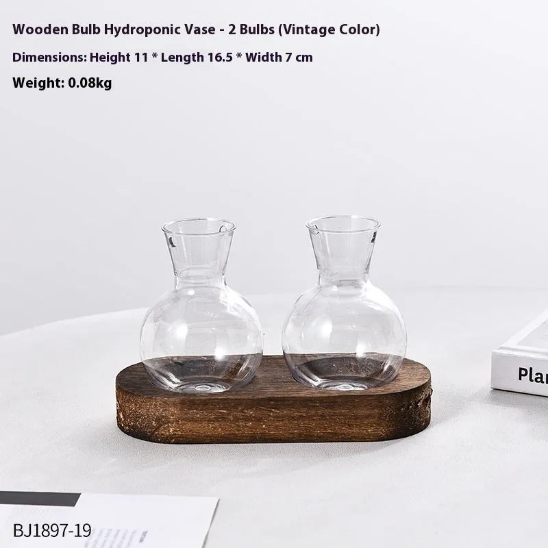 Transparent hydroponic vase in a wooden frame for modern plant display.