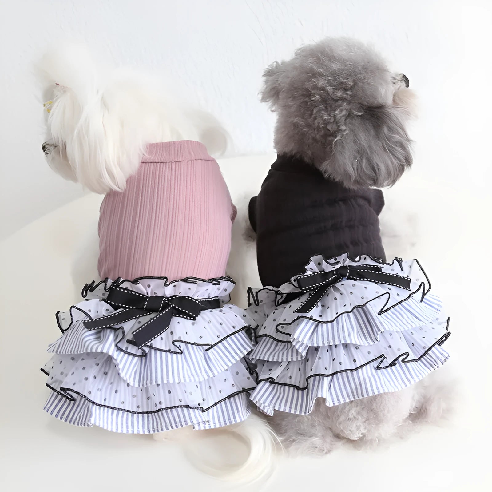 Polka dot lace cake dress pet clothes in taro purple on a small dog, princess style with lace detailing