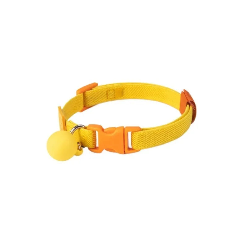 Small dog wearing a stretchy polyester pet collar in a choice of seven colours.