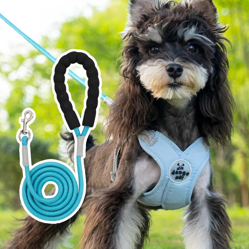Polyester pet walking vest and hand-holding rope combo set in four colour options