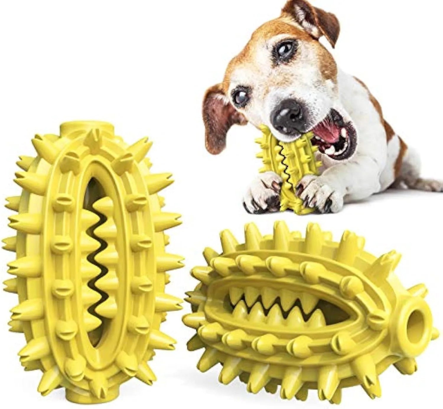 Green cactus-shaped dog toothbrush chew toy for medium to large breed dental cleaning