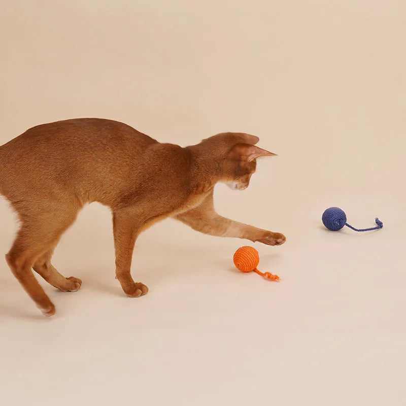 255mm cat teaser wand with catnip ball and feathers in blue, green, red, or yellow
