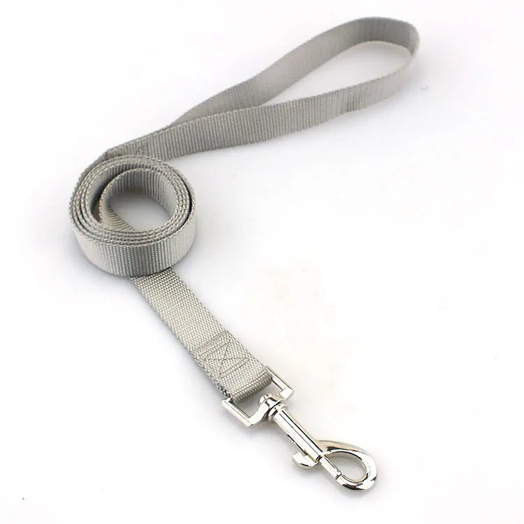 Solid colour polyester dog lead with hand-holding rope design shown in blue colour option