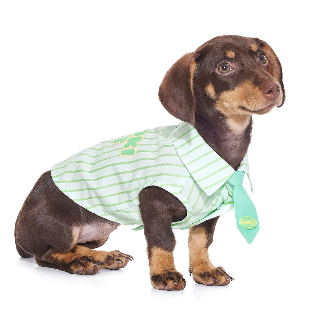 Green thin cotton pet shirt for Teddy Schnauzer, casual dog clothing, multiple sizes available