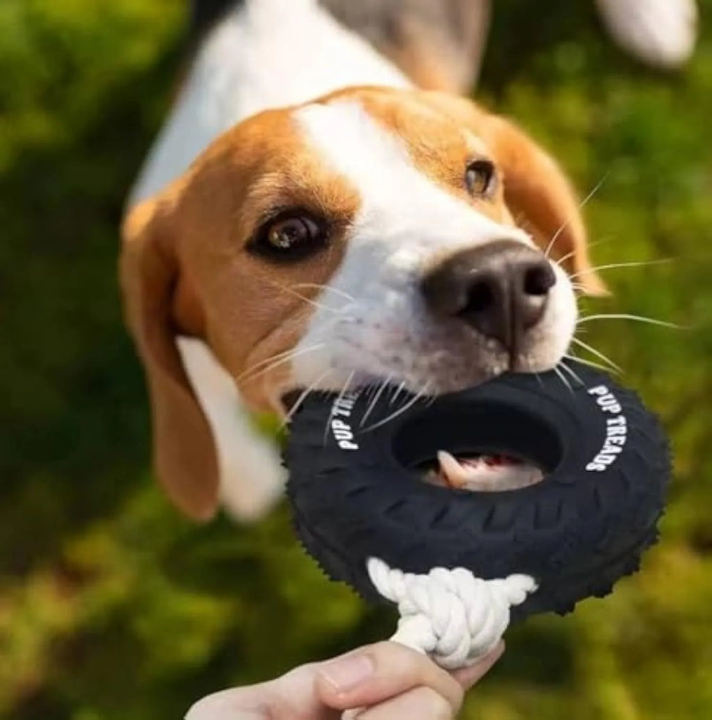 Tough natural rubber dog chew toy shaped like a tire with rope, black colour, for large dogs