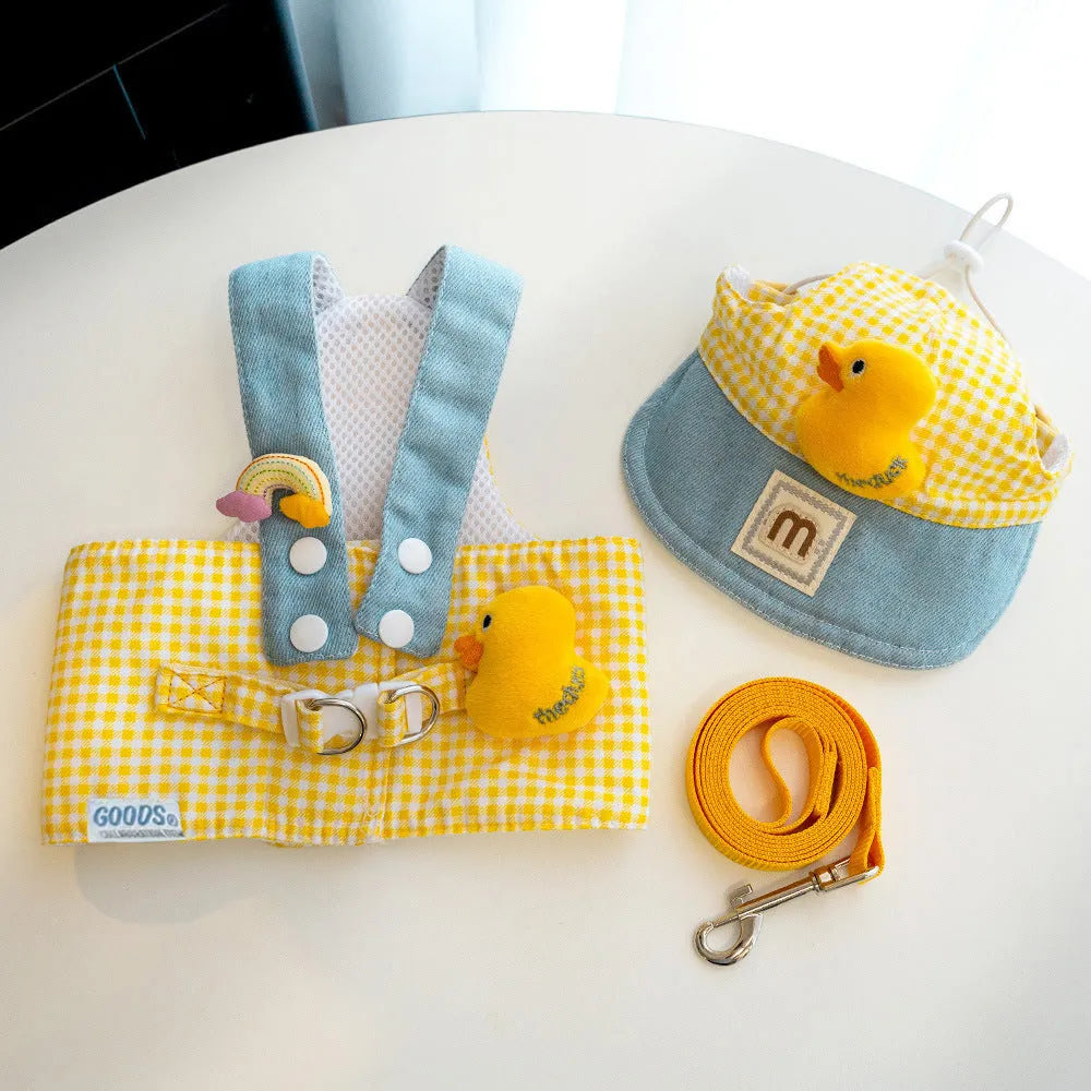 Three-piece pet set showing a dog harness, leash, wire rope pull, and a cute cotton hat on a small dog.