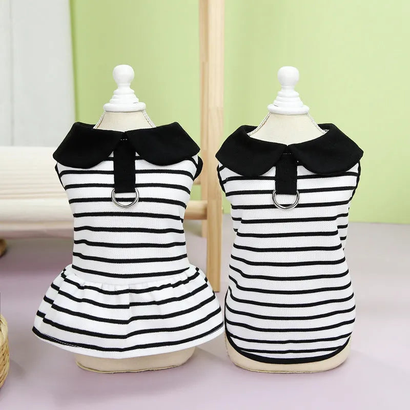 Pet wearing coordinated cotton T-shirt and skirt set with stripe pattern