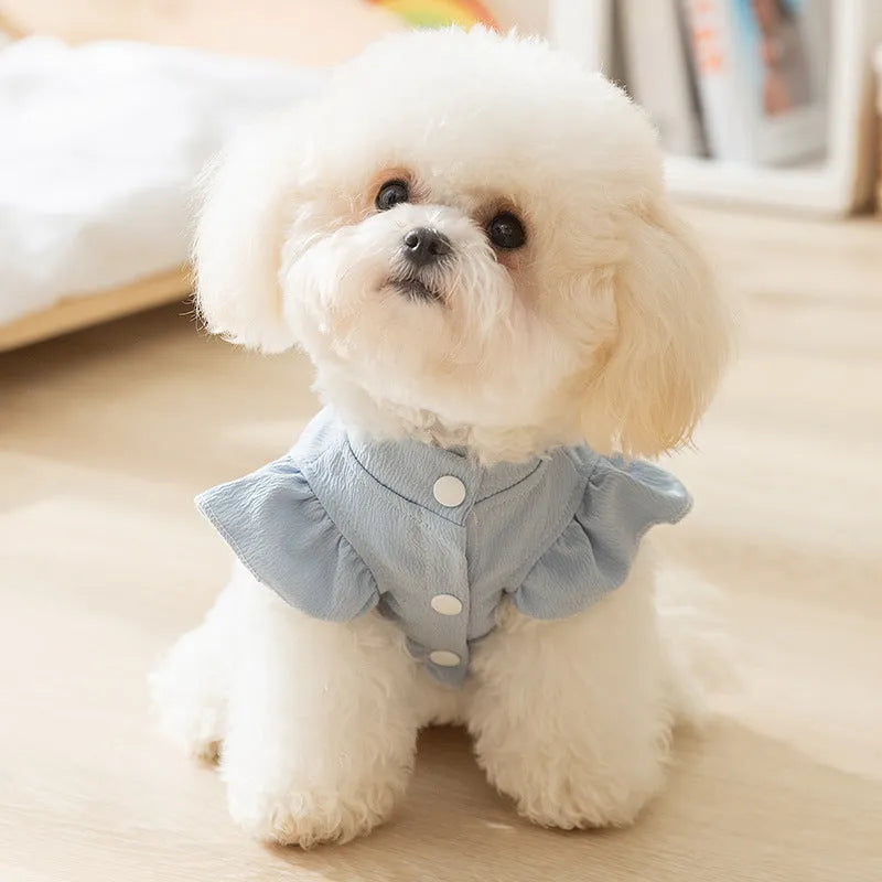 Solid colour polyester flying sleeve dress for small dog in Bondi Blue with cloth label