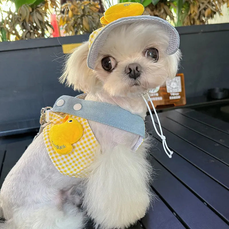 Three-piece pet set showing a dog harness, leash, wire rope pull, and a cute cotton hat on a small dog.