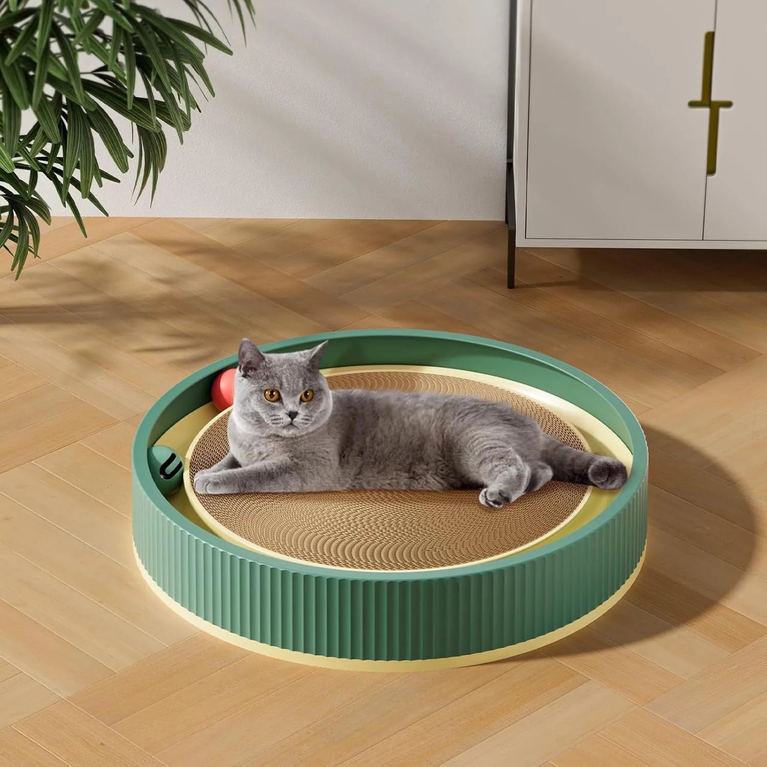 Large circular green cat scratching board with ball toys and replaceable cardboard core