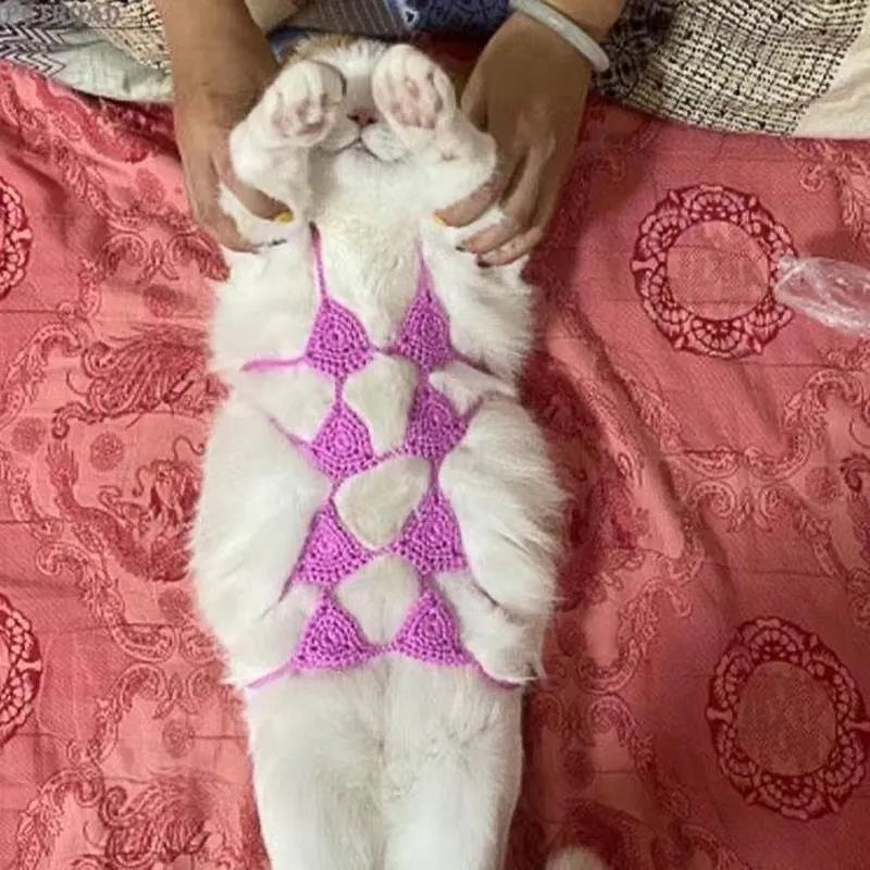 Cat wearing bikini costume in multiple colour options for festive dress-up