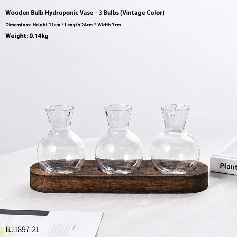 Transparent hydroponic vase in a wooden frame for modern plant display.